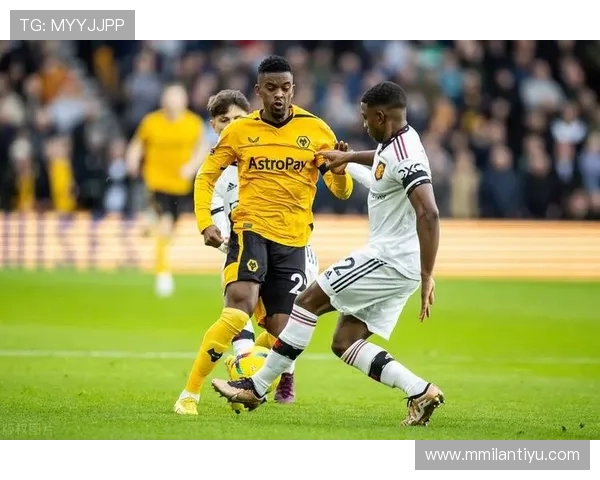 平博足球官网多样化的足球赛事覆盖与实时比分更新详解